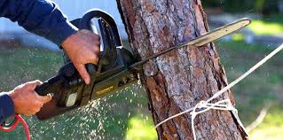 Best Lawn Irrigation Installation and Maintenance  in Holtville, CA