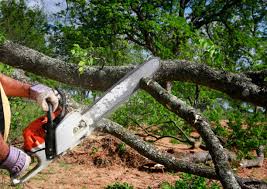 Best Aeration Services  in Holtville, CA